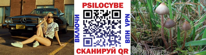наркошоп  Соль-Илецк  Галлюциногенные грибы мицелий 